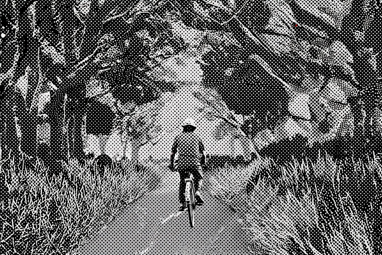 A halftone dot pattern overlays a photograph of a solitary cyclist riding a bicycle on a narrow brown dirt path. The cyclist is positioned in the center of the frame, pedaling forward on the curved path. Tall, vibrant green grass lines both sides of the path, reaching waist height. In the background, mature trees form an arching canopy above the path, their branches interweaving to create a natural tunnel effect. Soft, diffused natural sunlight filters through the tree canopy, casting gentle shadows across the scene. The halftone effect creates a distinctive pattern of small dots that vary in size and density across the image, giving the photograph a vintage printed appearance. Black and white photographic halftone print effect with strong contrast between light and dark areas.